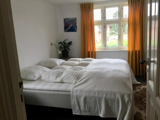 My Home Spodsbjerg Ngoại thất bức ảnh